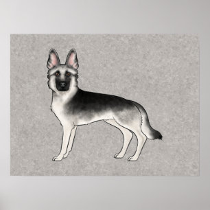 Póster Ilustración de perro lindo pastor alemán Silver Sa