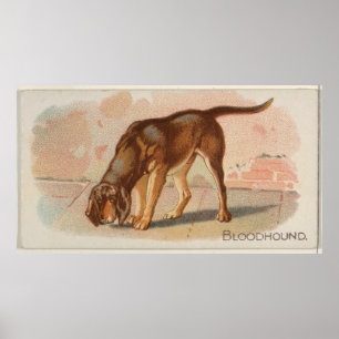 Póster Ilustracion de perro sangriento (1890)
