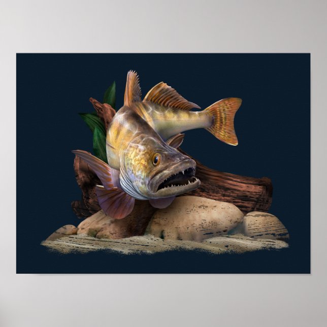 Póster Ilustracion de pesca Walleye, pescador Walleye (Frente)