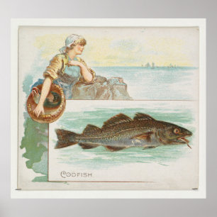 Póster Ilustracion de pescado de bacalao del Atlántico (1