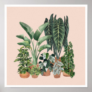 Póster Ilustracion de Plantas Domésticas 4
