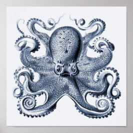 Póster Ilustracion de pulpo azul de la Marina por Ernst H