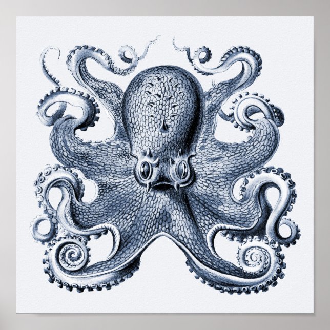 Póster Ilustracion de pulpo azul de la Marina por Ernst H (Frente)