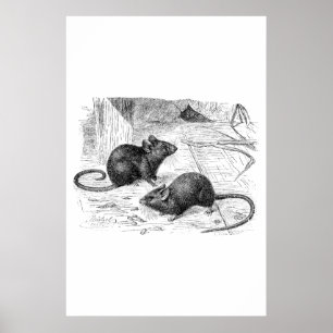 Póster Ilustracion de ratones retro Barn Mouse del siglo 