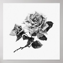 Póster Ilustracion de Rosa de época