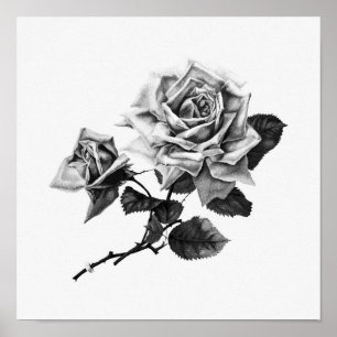 Póster Ilustracion de Rosa de época