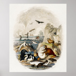 Póster Ilustracion de sellos de época