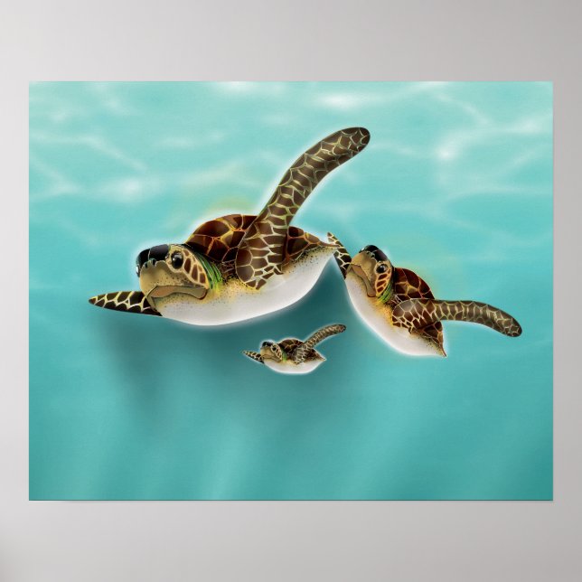 Póster Ilustracion de tortugas marinas (Frente)