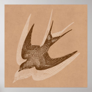 Póster Ilustracion de tragos vintage - Pájaro antiguo del