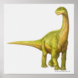 Póster Ilustracion de un Camarasaurus