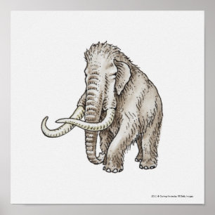 Póster Ilustracion de un mamut