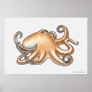 Póster Ilustracion de un pulpo