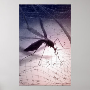 Póster Ilustracion de una picadura de mosquito