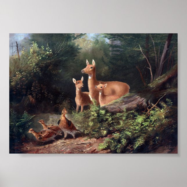 Póster Ilustracion de venado vintage (Frente)