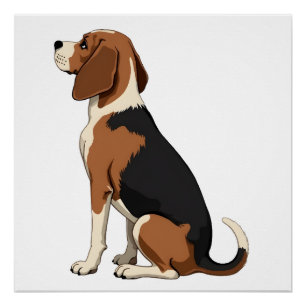 Póster Ilustración de vista trasera de perro Beagle vinta