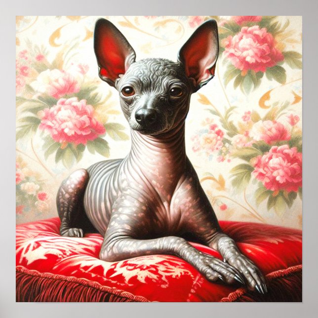 Póster Ilustracion de Xoloitzcuintle (Frente)