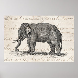 Póster Ilustracion del elefante de los 1800s del vintage