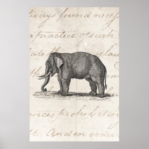 Póster Ilustracion del elefante de los 1800s del vintage