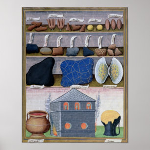 Póster Ilustracion del 'libro de las medicinas simples