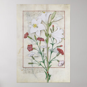 Póster Ilustracion del libro de lo simple