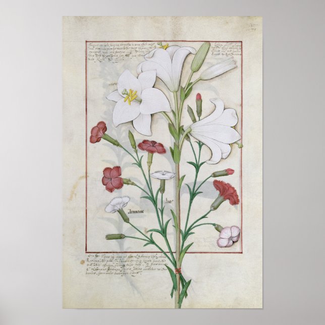 Póster Ilustracion del libro de lo simple (Frente)