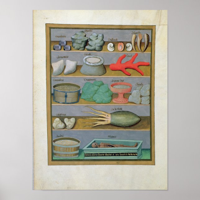 Póster Ilustracion del "Libro de Medicinas Simples" (Frente)