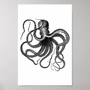 Póster Ilustracion del pulpo del vintage