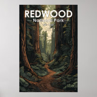 Ilustración del sendero del Parque Nacional Redwoo