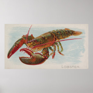 Póster Ilustracion del vintage de una langosta (1889)