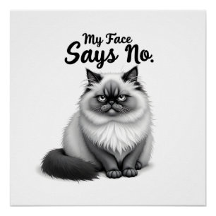 Póster Ilustración Divertida de Cara de Gato – Arte de Ga