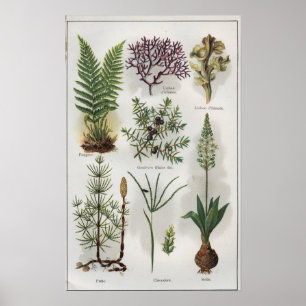 Póster Ilustracion en "MON DOCTEUR"