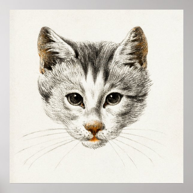 Póster Ilustracion Gato Vintage (Frente)