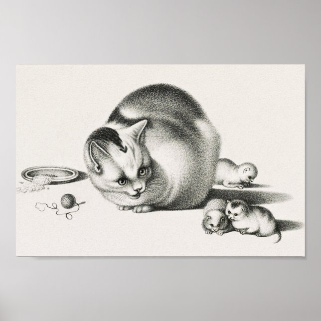 Póster Ilustracion Gato Vintage (Frente)