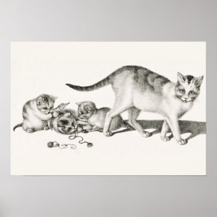 Póster Ilustracion Gato Vintage