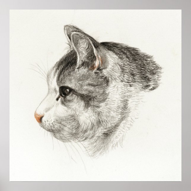 Póster Ilustracion Gato Vintage (Frente)