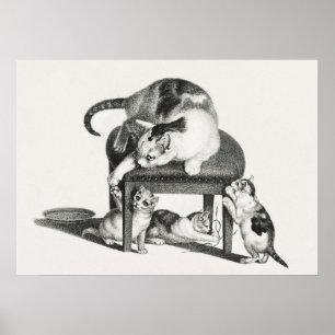 Póster Ilustracion Gato Vintage