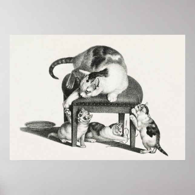 Póster Ilustracion Gato Vintage (Frente)