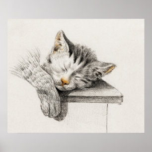 Póster Ilustracion Gato Vintage
