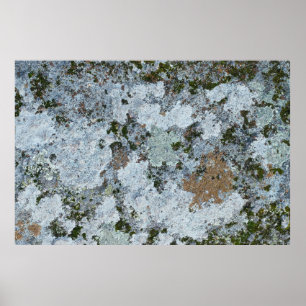 Póster Ilustracion gris y verde