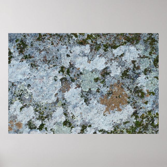 Póster Ilustracion gris y verde (Frente)