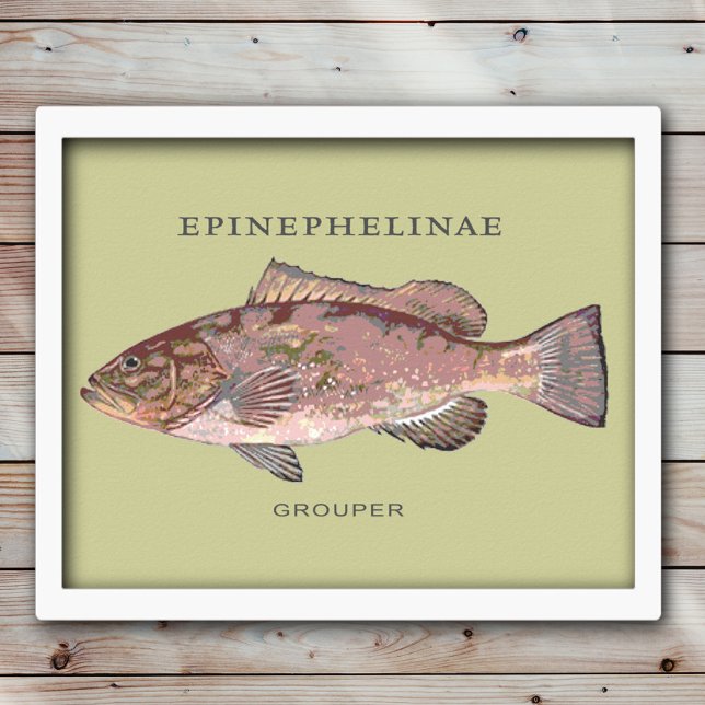 Póster Ilustracion Grouper Fish (Subido por el creador)