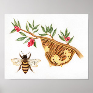 Póster Ilustracion Honey Bee