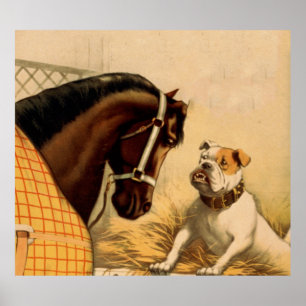 Póster Ilustracion inglés del bulldog y del caballo del