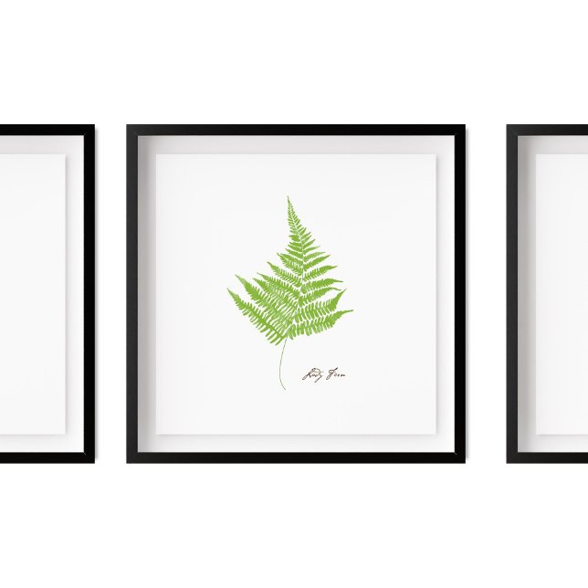 Póster Ilustracion Lady Fern | Fern Series (Subido por el creador)