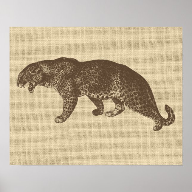 Póster Ilustracion Leopardo de época (Frente)