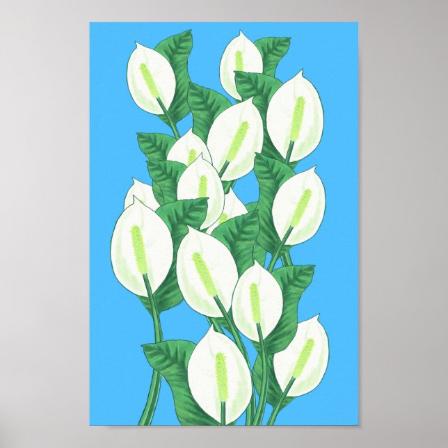 Póster Ilustracion Lily de la Paz (Frente)