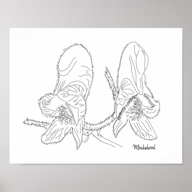 Póster Ilustracion Monkshood (Frente)