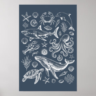 Póster Ilustración náutica vintage de vida marina
