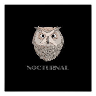 Póster Ilustracion Nocturnal de Owl