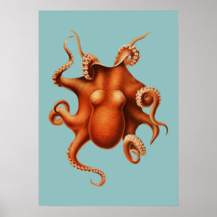 Póster Ilustracion Octopus